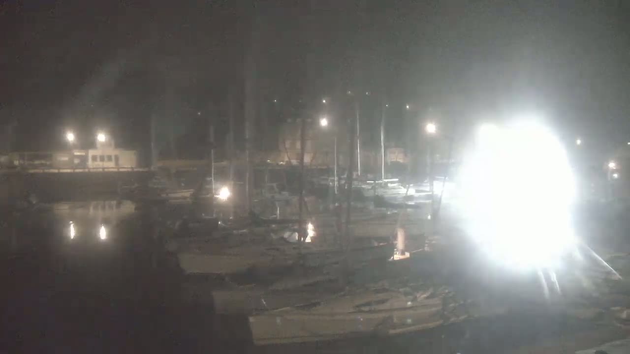 A nighttime, foggy view of a marina with many boats docked, illuminated by various lights.
