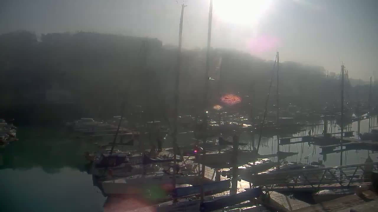 A hazy sunrise illuminates a marina filled with numerous boats and masts, mostly shrouded in fog.