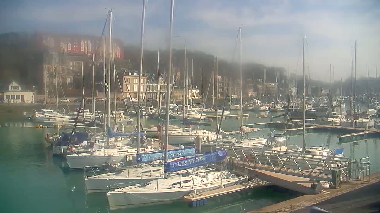 A harbor filled with sailboats and motorboats on a partly hazy day.