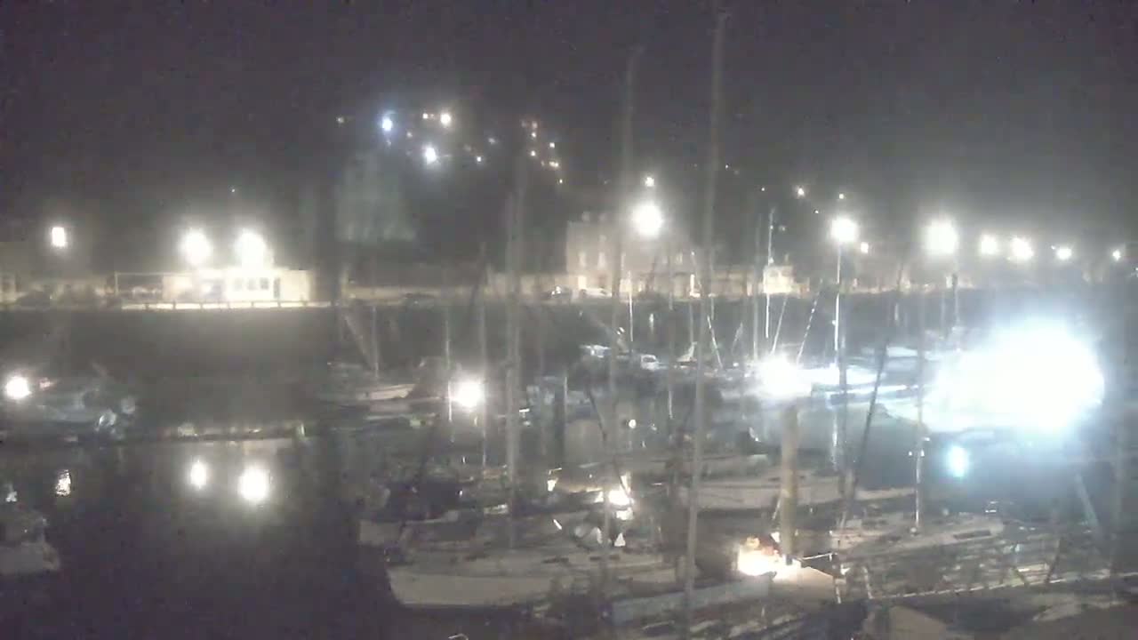 A nighttime view of a harbor filled with numerous boats and illuminated by bright lights, under hazy or foggy conditions.