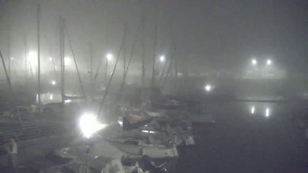 A foggy night scene shows numerous boats moored in a marina, illuminated by scattered lights.