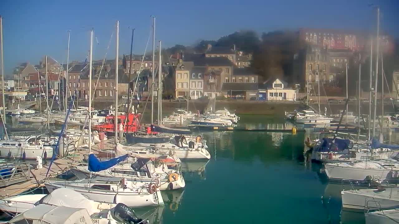 Many sailboats are docked in a marina on a calm, sunny day, with buildings and hills visible in the background.