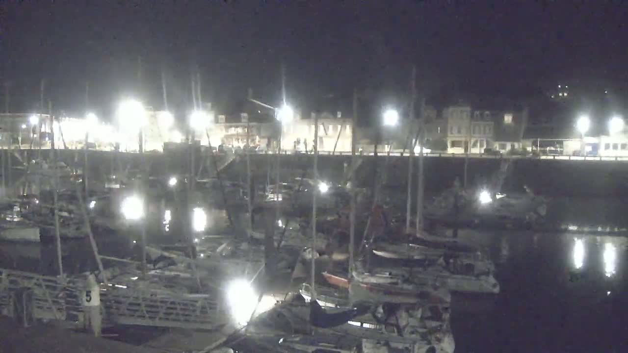 A nighttime view of a harbor filled with docked boats, illuminated by artificial lights, under a dark sky.
