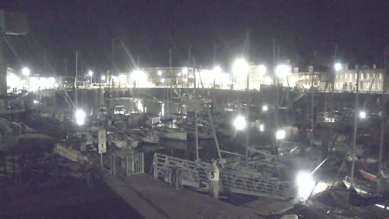 A nighttime view of a marina filled with numerous boats docked under artificial lights.