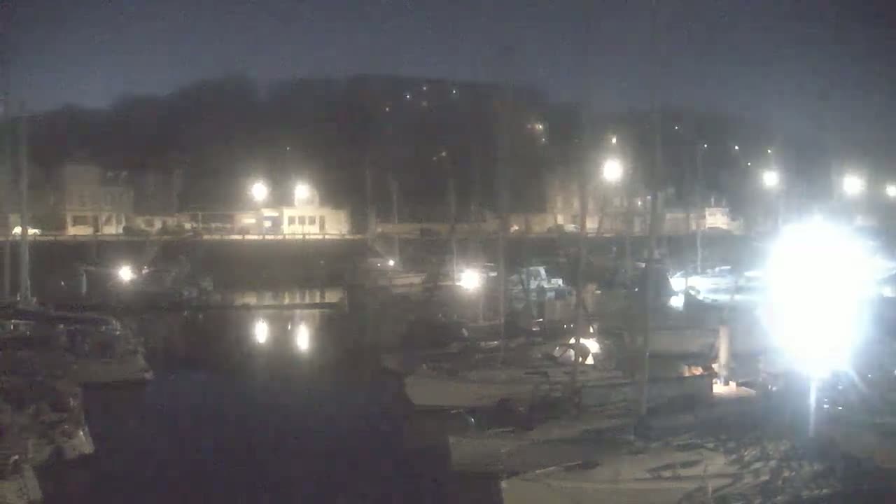A nighttime view of a marina filled with boats under hazy or foggy conditions, illuminated by numerous lights.