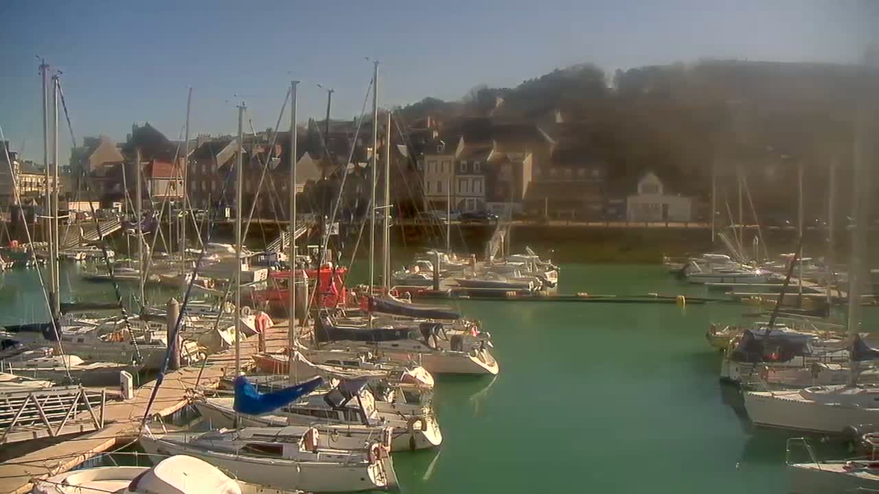A marina filled with sailboats on a sunny day, nestled against a hillside town.
