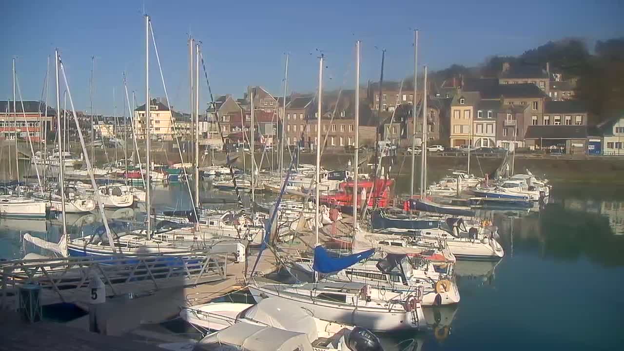 Numerous sailboats are moored in a harbor next to a town under a clear, sunny sky.