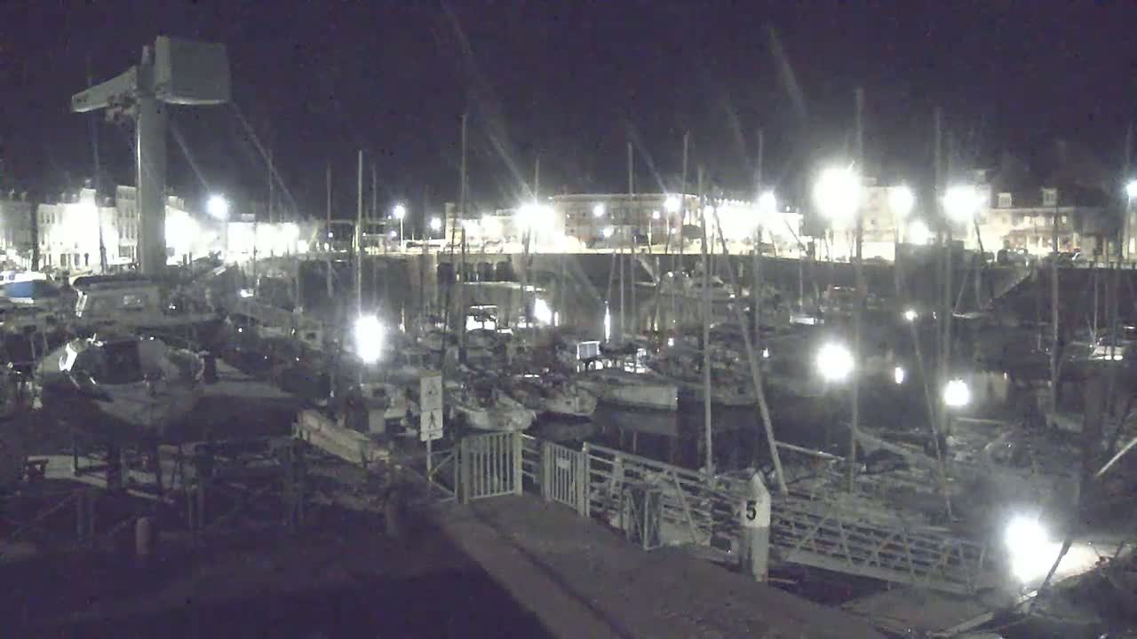 A nighttime view of a marina filled with boats, illuminated by artificial lights.