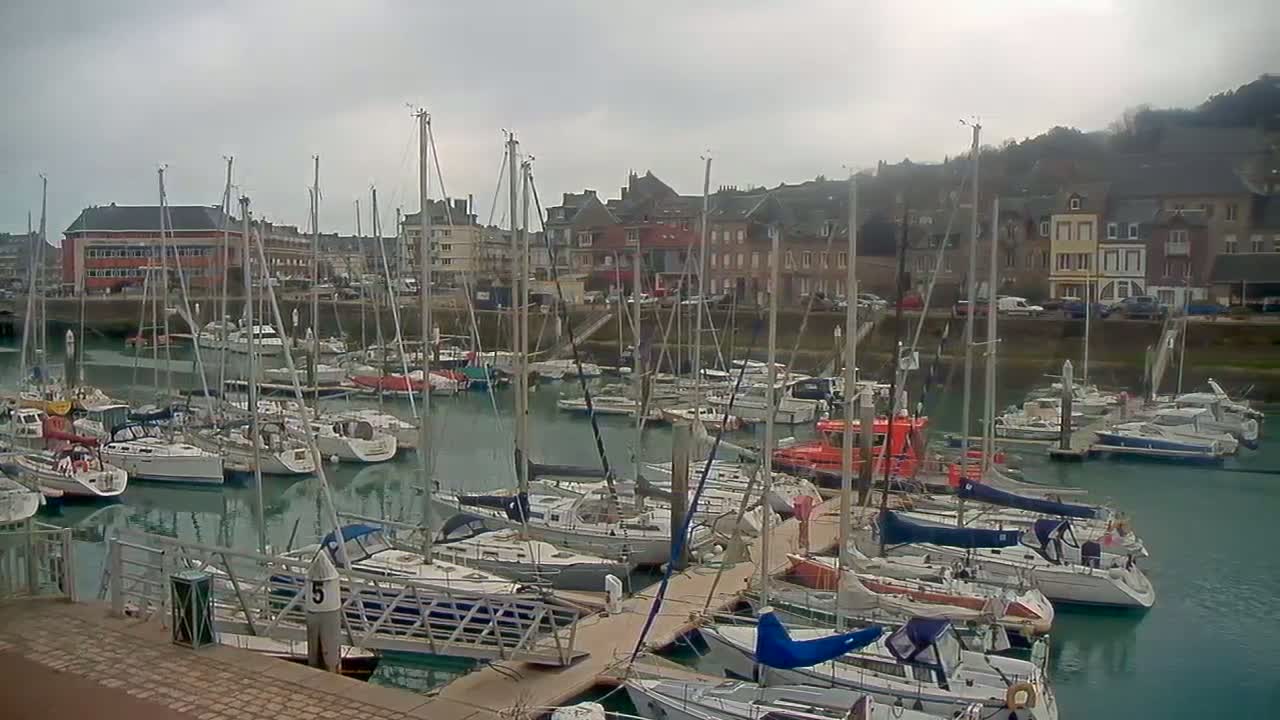 Numerous sailboats are docked in a harbor beside a town under an overcast sky.