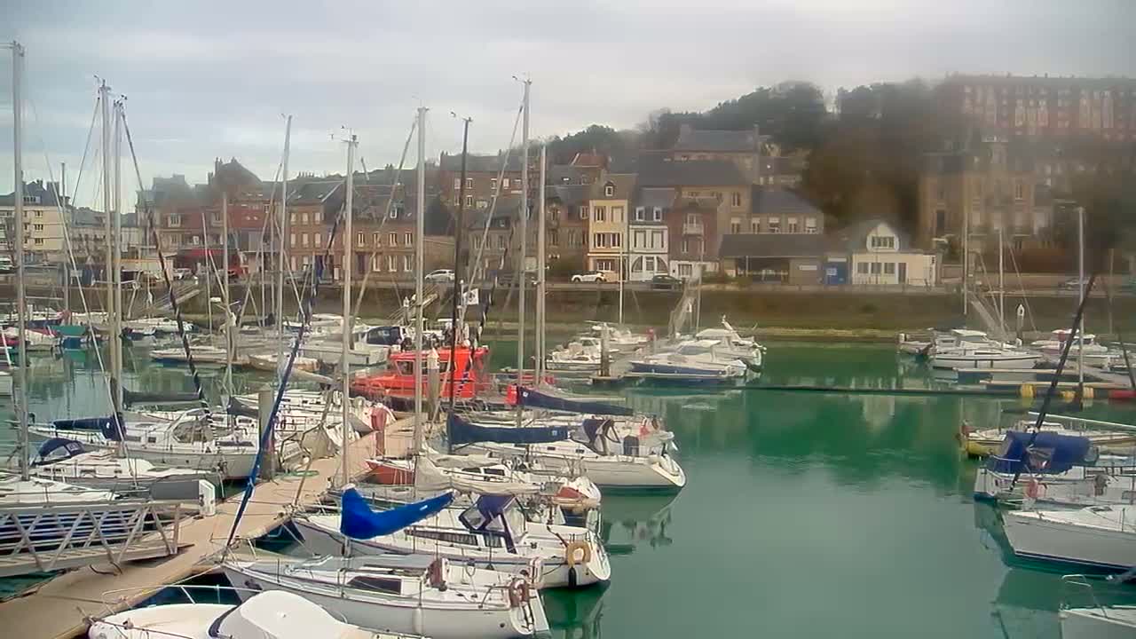 Numerous sailboats are docked in a harbor on an overcast day, with buildings lining the shoreline in the background.