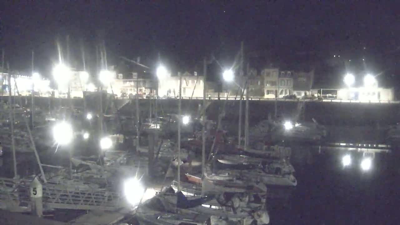 A marina filled with sailboats is illuminated at night, with a row of buildings visible in the background.