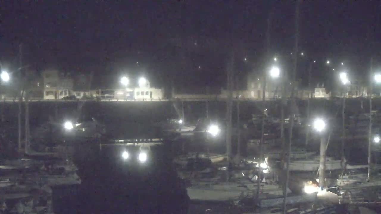 A nighttime view of a marina with numerous boats docked under artificial lights.