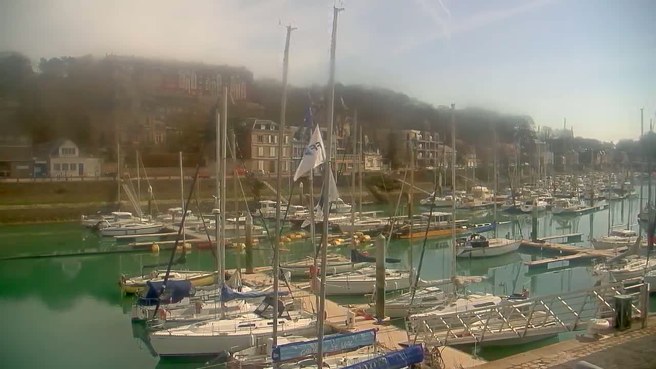 A marina filled with sailboats is nestled in a calm harbor, with a foggy hillside in the background.