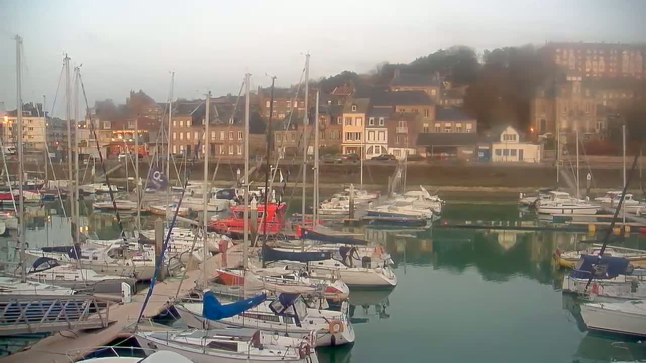 Many sailboats are docked in a harbor next to a town with buildings of varying sizes and colors, under a hazy sky.
