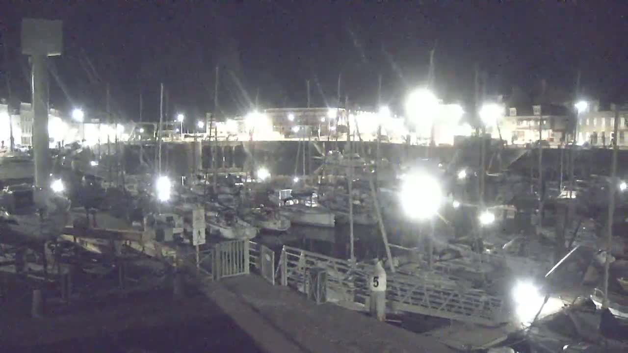 At night, many boats are docked in a harbor illuminated by artificial lights.
