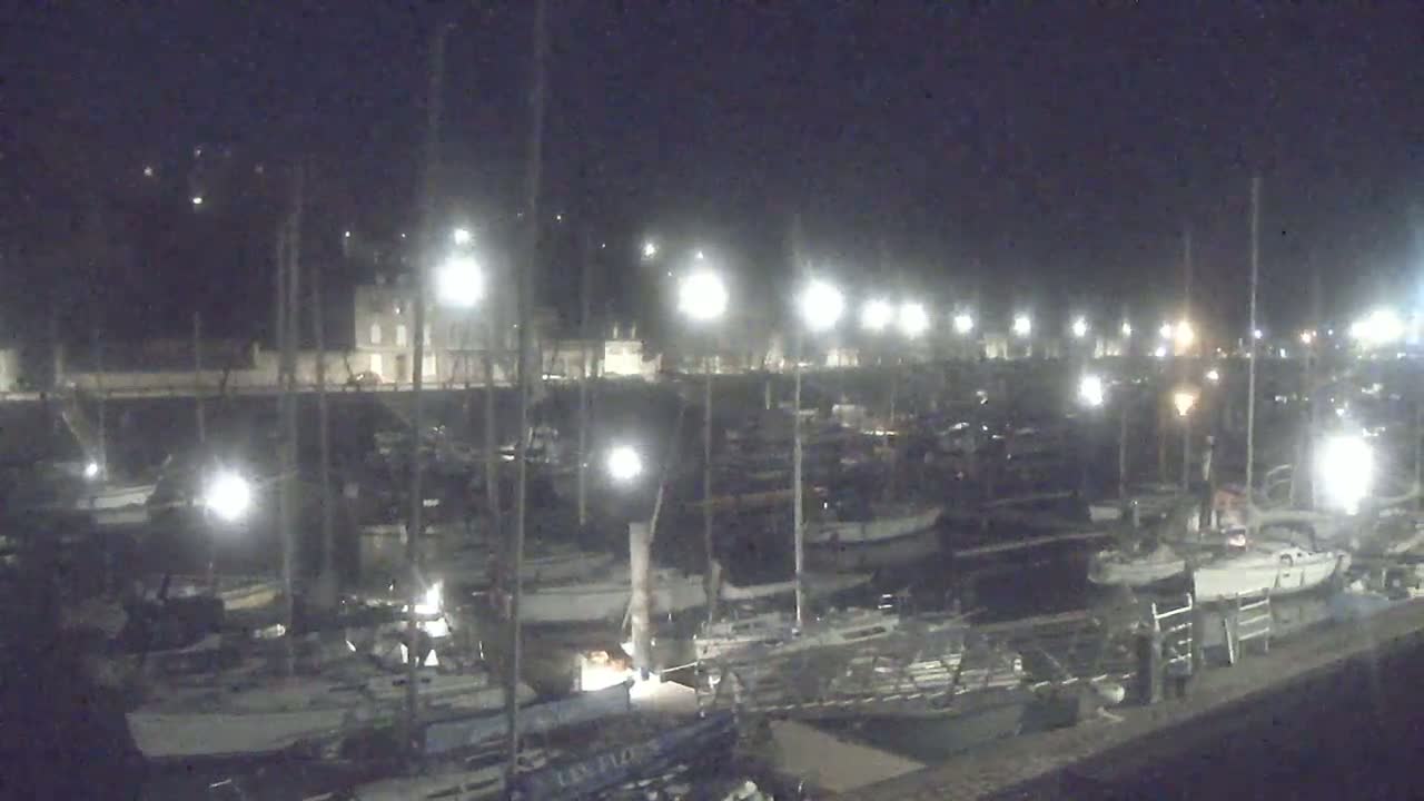 A nighttime view of a marina filled with numerous boats docked under artificial lighting.