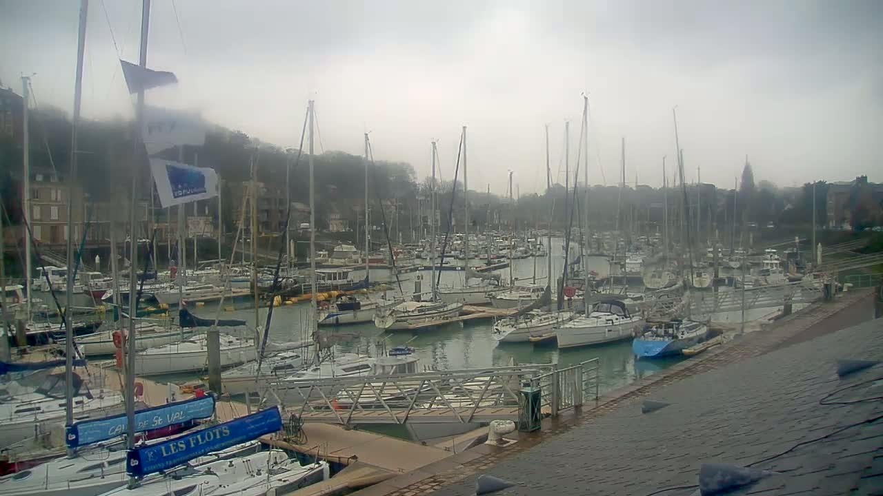A marina filled with numerous sailboats and yachts under a cloudy, overcast sky.