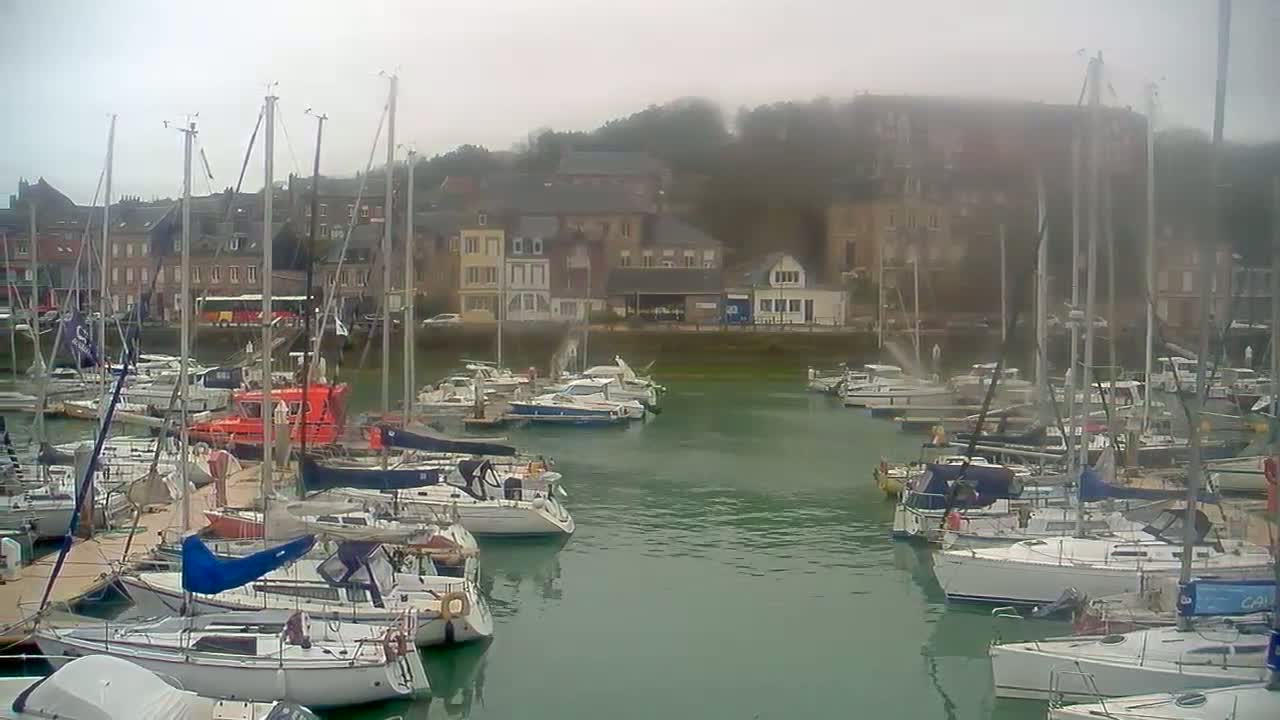 A harbor filled with sailboats and motorboats on a foggy day, situated next to a town of multi-storied buildings.