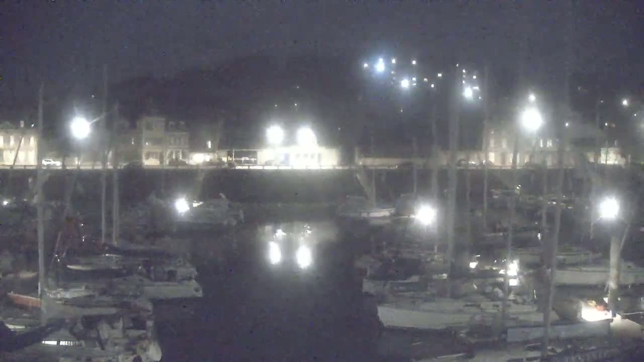 A nighttime view of a marina with many boats docked, illuminated by artificial lights.