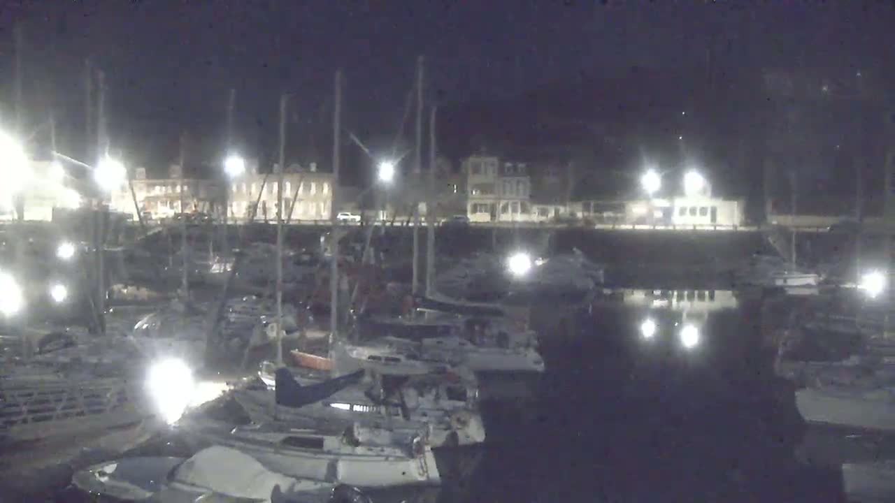 A nighttime view of a marina filled with sailboats, illuminated by lights, with buildings visible in the background.