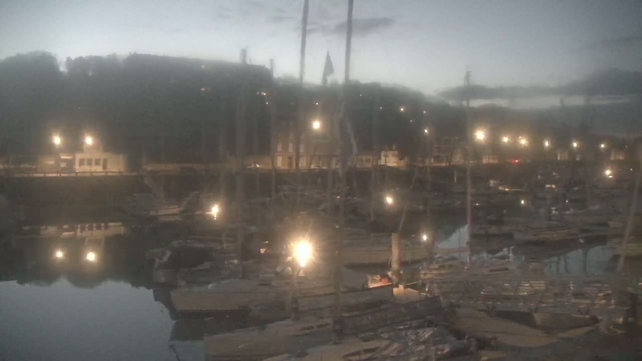 A foggy night scene shows a harbor filled with boats and docks, illuminated by scattered lights.