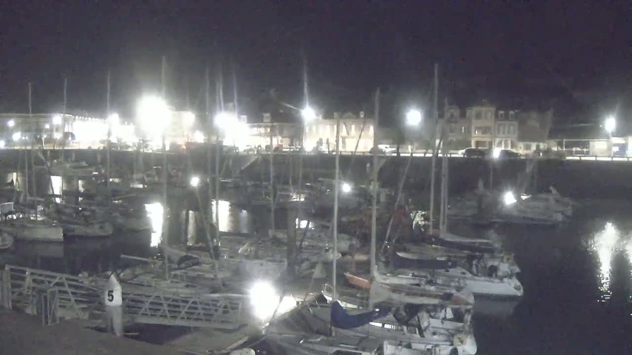 A nighttime view of a harbor filled with sailboats docked along a waterfront with buildings illuminated by streetlights.