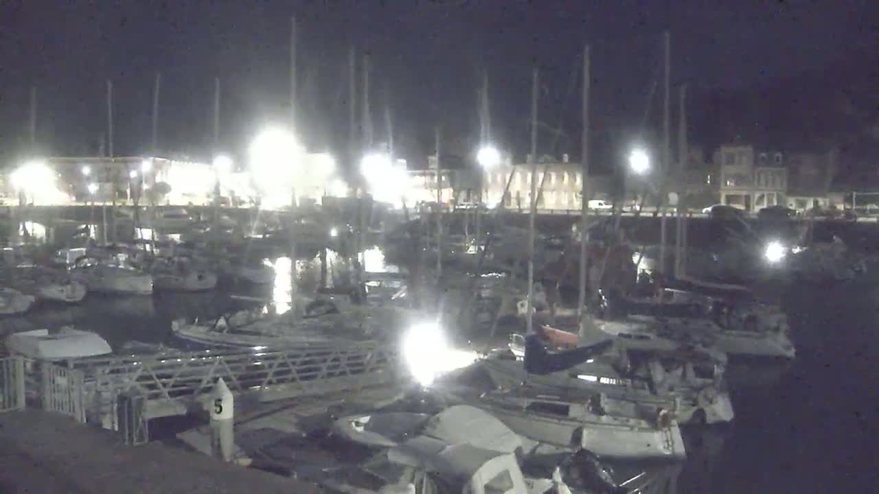 A nighttime view of a marina filled with sailboats moored alongside a waterfront building under artificial lights.