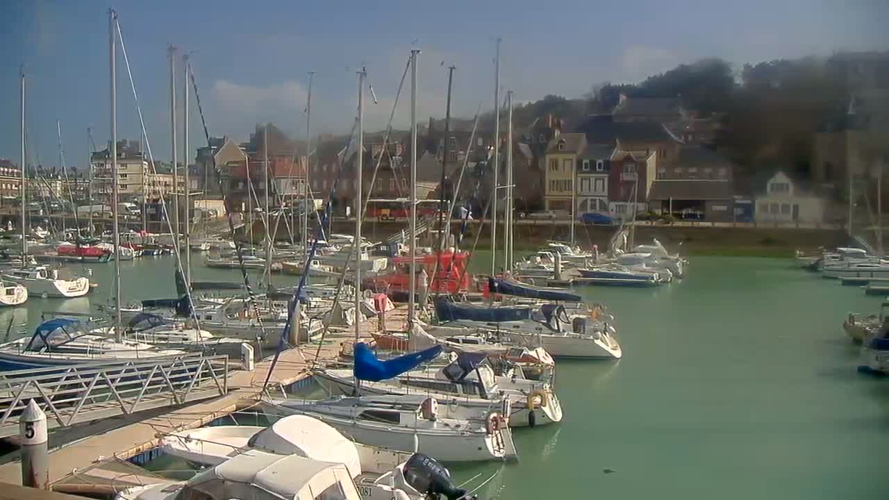 A marina filled with sailboats and motorboats is docked along a walkway, under a sunny sky, in front of a waterfront town.