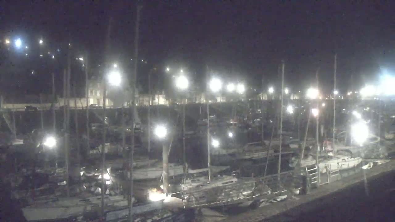 A nighttime view of a marina filled with numerous boats illuminated by artificial lights.