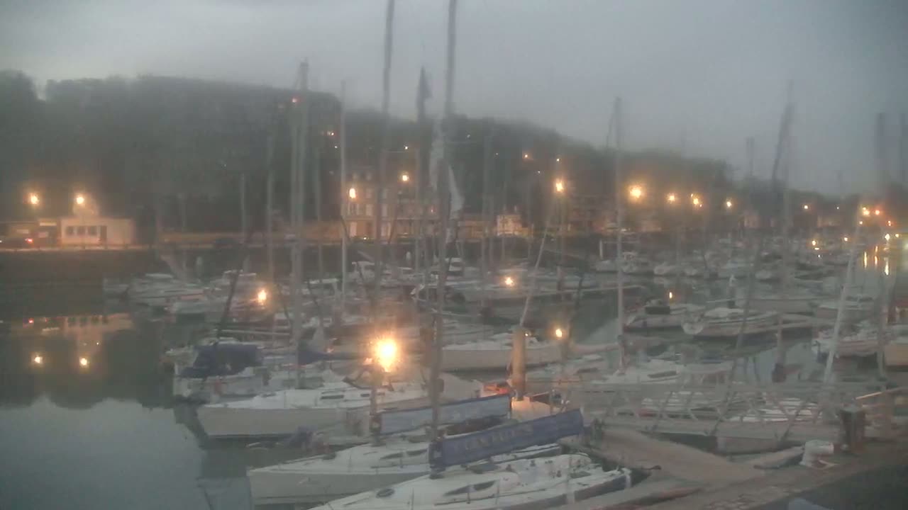 Many sailboats are docked in a harbor on a foggy evening, with lights illuminating the boats and surrounding buildings.