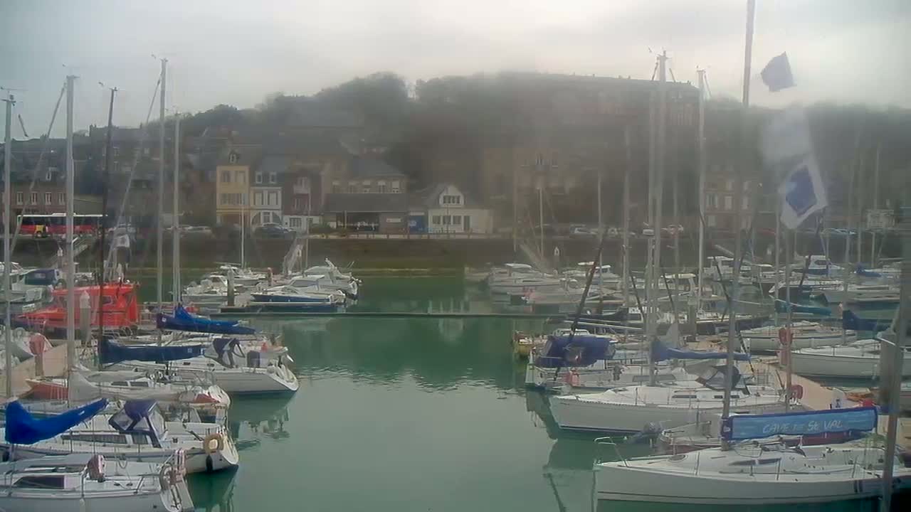 A marina filled with sailboats and motorboats is nestled in a harbor next to a town under an overcast sky.