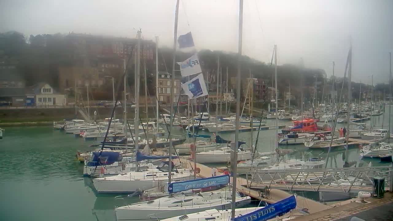 A foggy harbor is filled with numerous sailboats docked along a pier, with buildings and a hillside visible in the background.