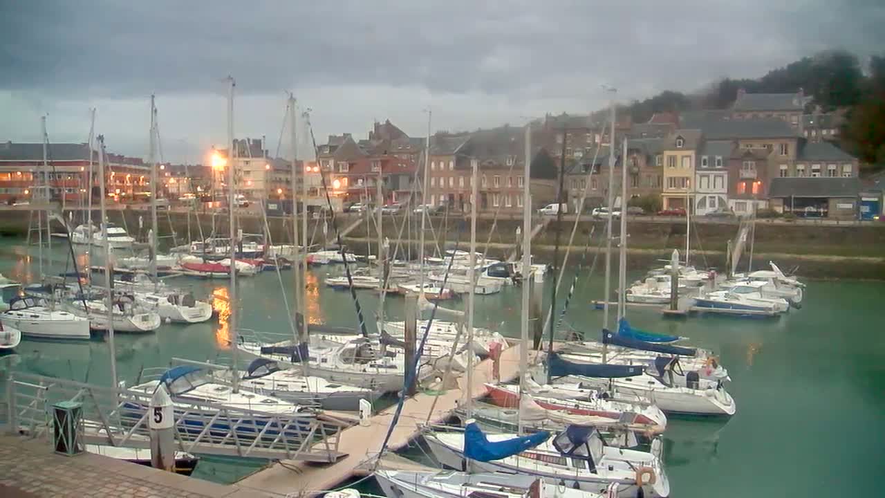Many sailboats are docked in a marina under an overcast sky next to a waterfront town.