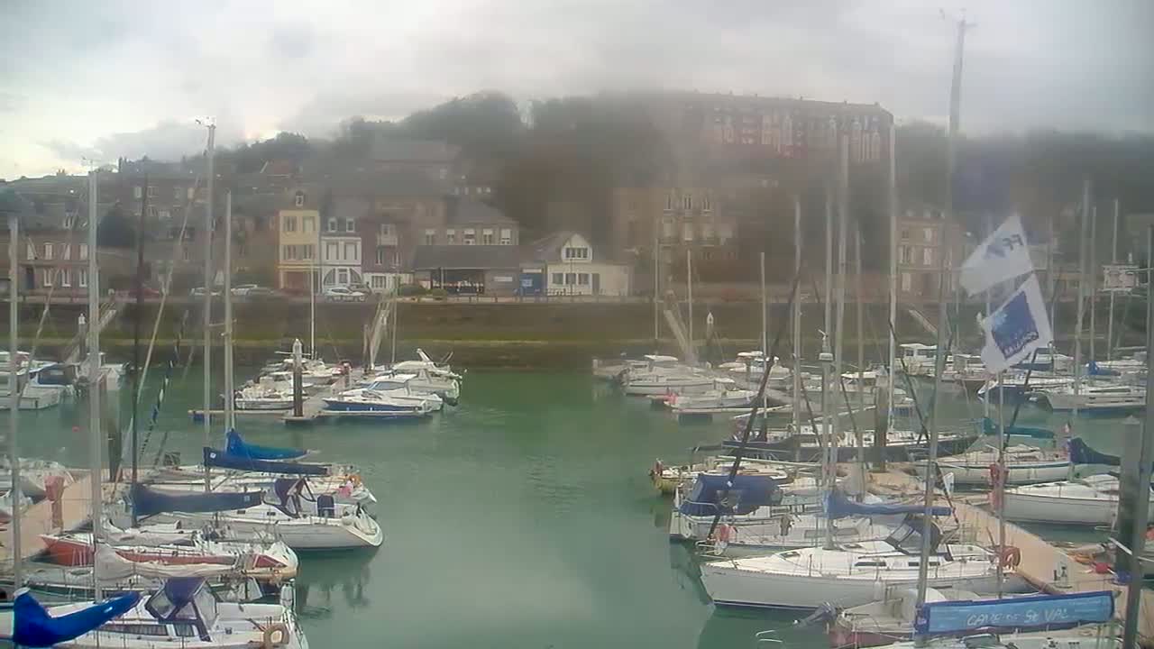 A marina filled with sailboats is nestled beside a town under an overcast sky.
