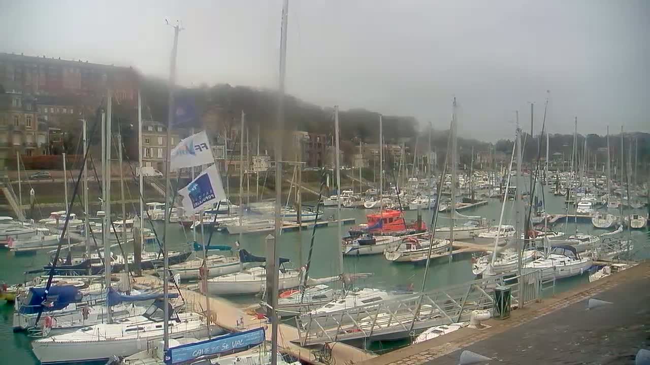 Many sailboats are docked in a harbor on a foggy day, with buildings visible on a hillside in the background.