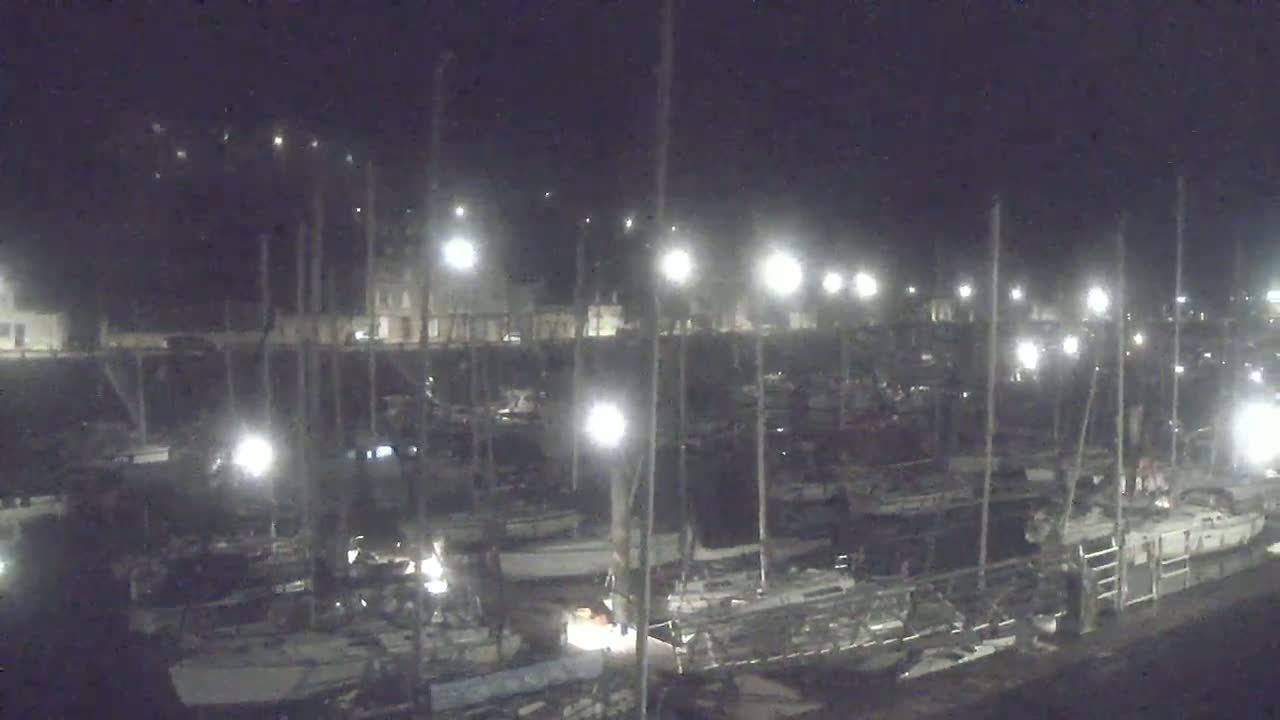 A nighttime, illuminated view of a marina filled with numerous boats and masts under a dark sky.