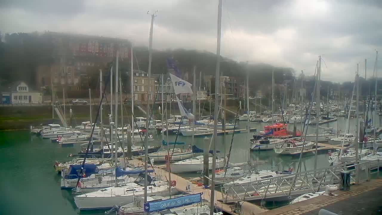A crowded marina filled with sailboats and motorboats on a cloudy day.