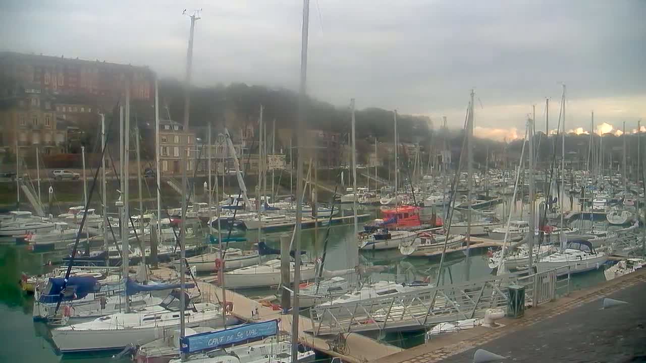 Many sailboats are docked in a harbor on a foggy day, with buildings visible on a hillside in the background.