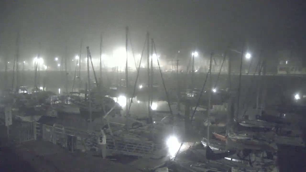 Many boats are docked in a harbor at night in foggy conditions.
