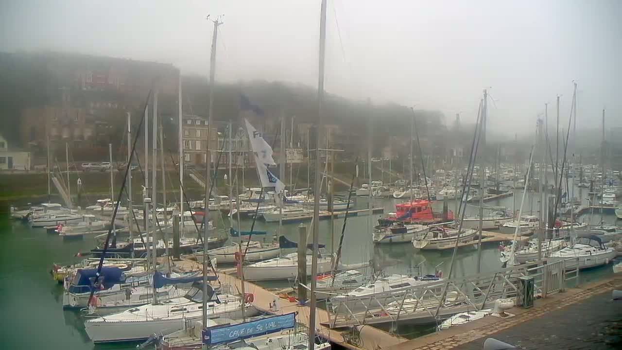 A foggy marina filled with numerous sailboats and motorboats docked at piers.
