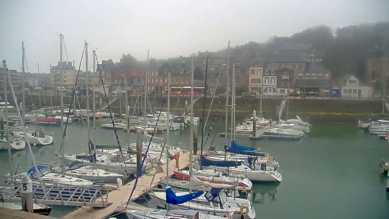 Many sailboats are docked in a marina next to a town on a foggy day.