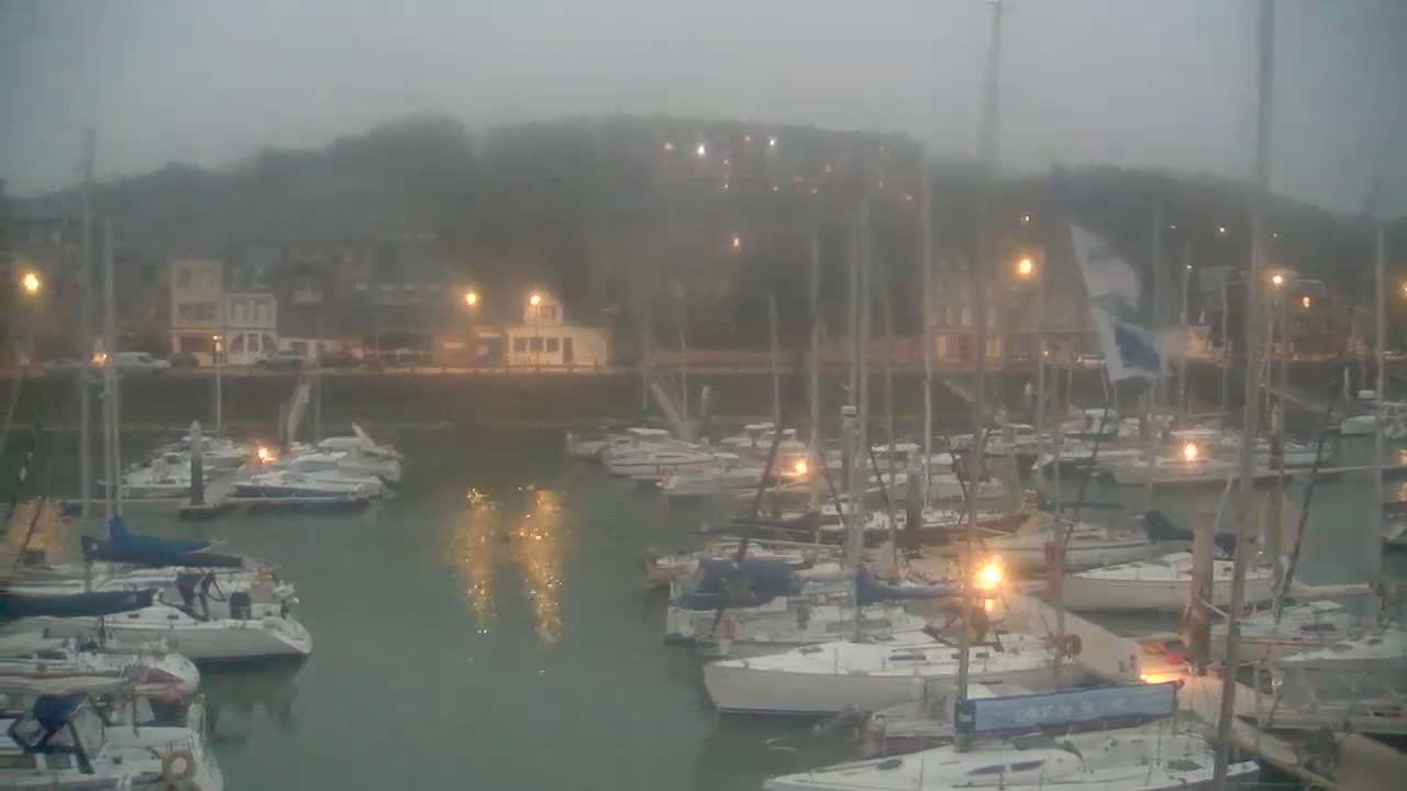 Many sailboats are moored in a harbor on a foggy night, with lights illuminating the boats and buildings along the shore.