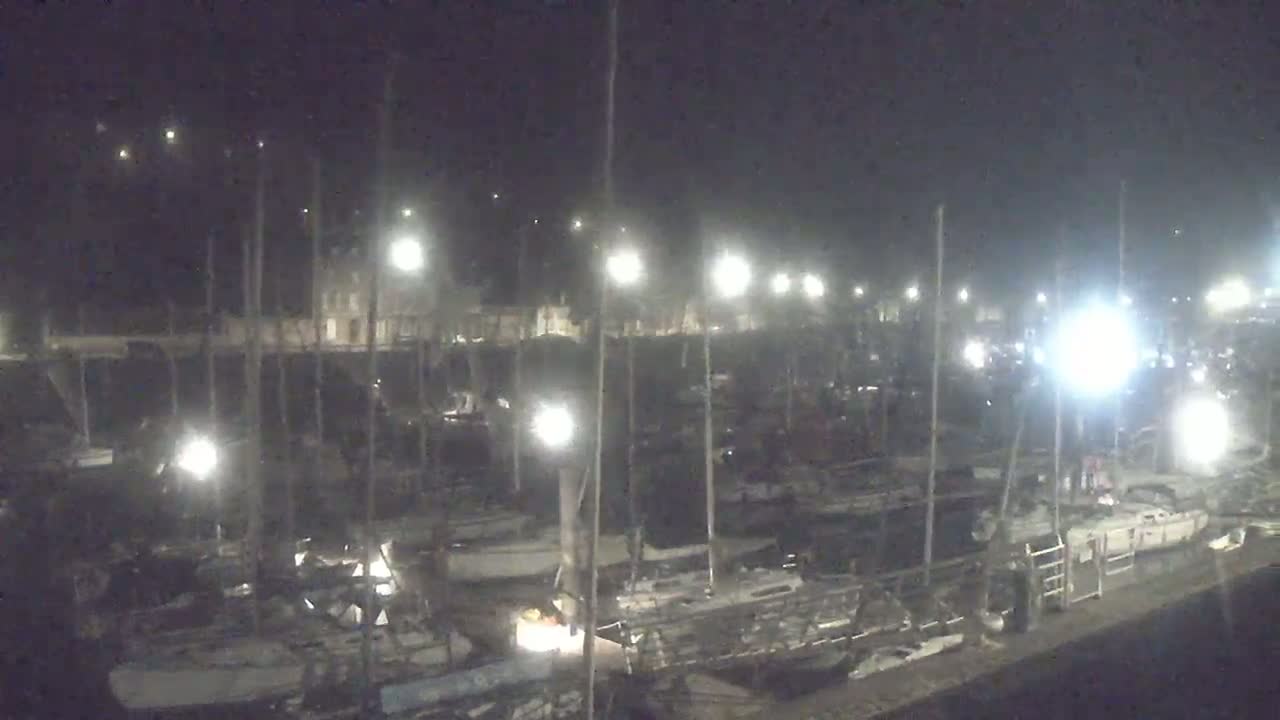 A nighttime, dimly lit marina filled with numerous boats and masts under artificial lighting.
