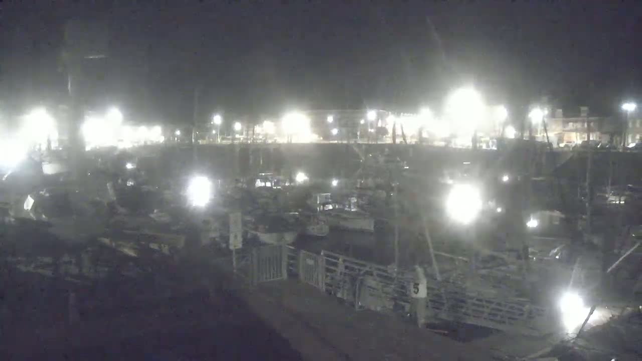 A nighttime view of numerous boats docked at a harbor under bright artificial lights.