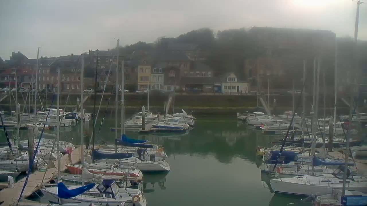 A marina filled with sailboats is nestled next to a town under a foggy sky.