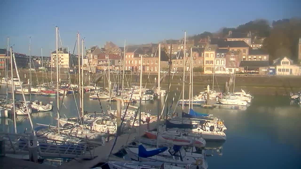 A marina filled with sailboats is situated in front of a town under a clear, sunny sky.