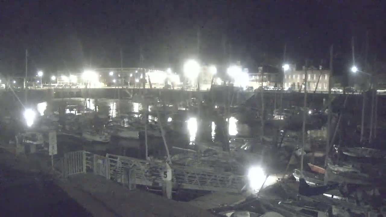 A nighttime view of a harbor filled with docked boats, illuminated by artificial lights, under a clear, dark sky.