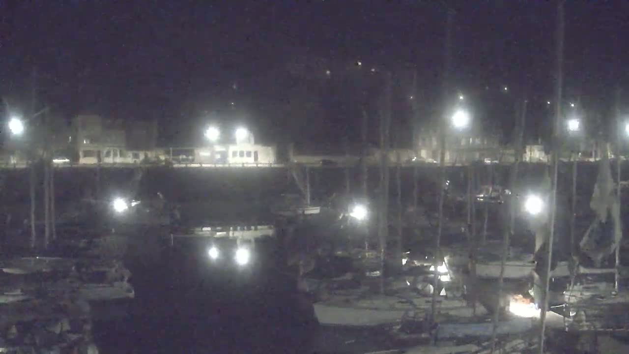A nighttime view of a marina with many boats docked, illuminated by artificial lights.