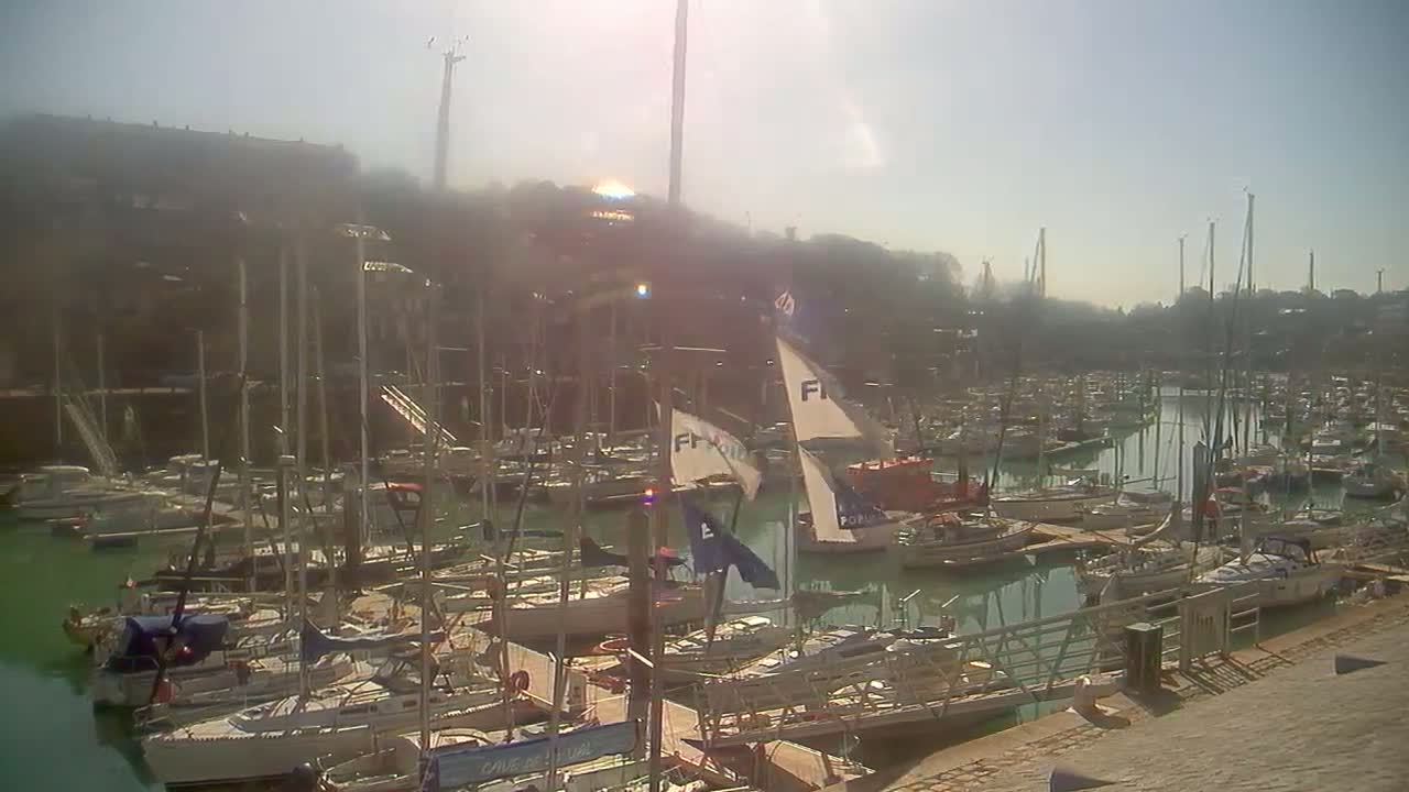 A hazy, sunny day overlooks a harbor filled with numerous sailboats docked at various piers.