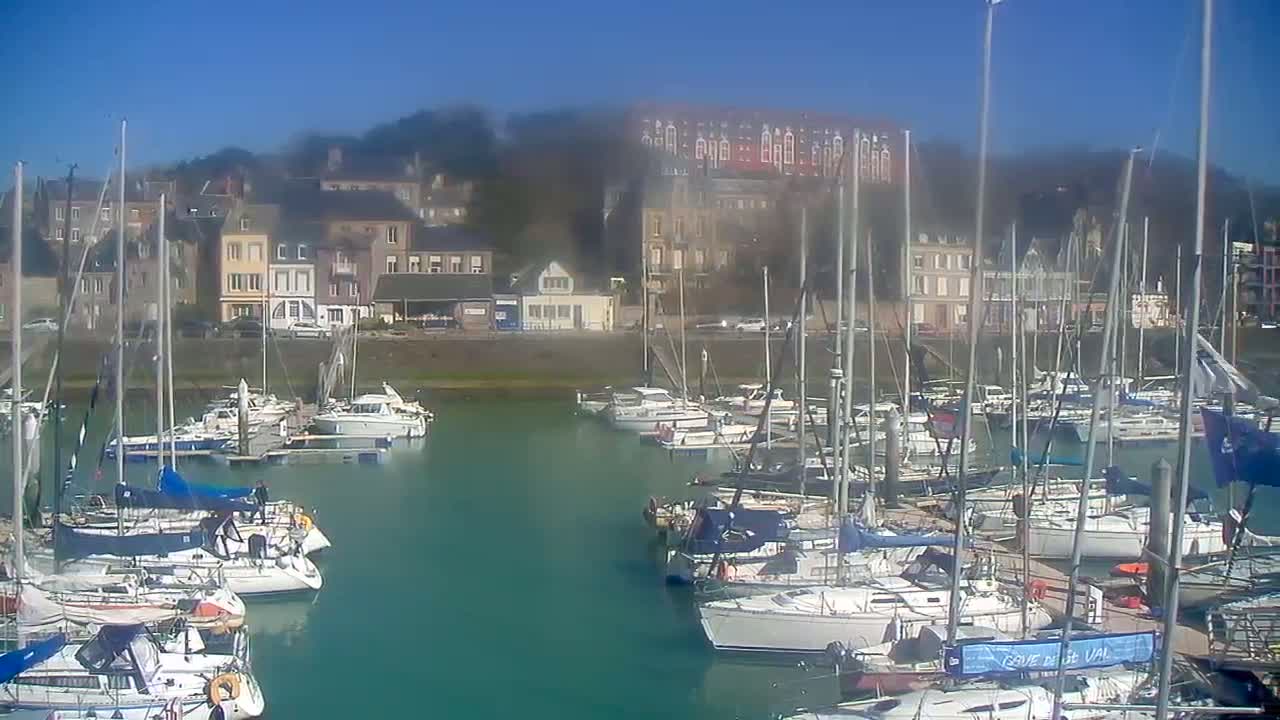 Many sailboats are docked in a marina on a sunny day, with buildings lining the waterfront in the background.